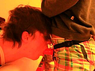 the mistress says, 'suck my strapon while bound in bondage'