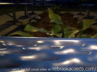 public masturbation caught on a park bench in cedar rapids iowa