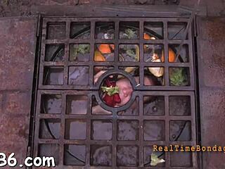 Watch intense fucking and sucking in this hardcore sadomasochism porn!