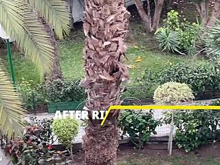 long legged spinner gets tossed around in her hotel room