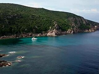 eve sweet and agatha vega share a cock after their heist in this vixen story