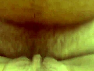 Alineflavio Update 151 From September 11 2024.