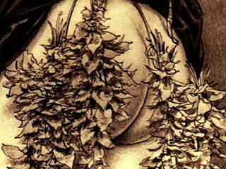 Vintage Erotic Hentai Drawings