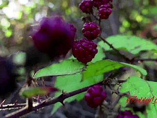 Argentina Trip Ends In Hard Sex