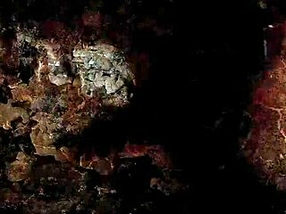 Wow! Check these wild vintage erotic cartoon drawings!