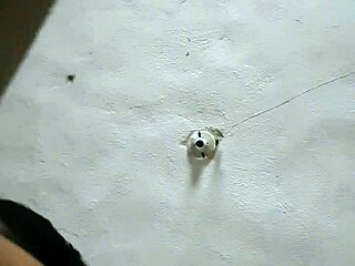 feeling the passion as milf comadre sucks passionately