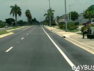 Intense Homo Bear Sex With Muscular Men