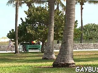 Gay Bear Porn Movie Scenes With Intense Action