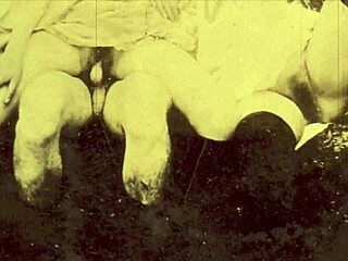 Victorian Nudes Unveiled in Erotic Confessions