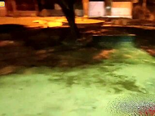 A guy can't afford the motel after a party in the interior city, so he asks two girls for a quick outdoor chat.