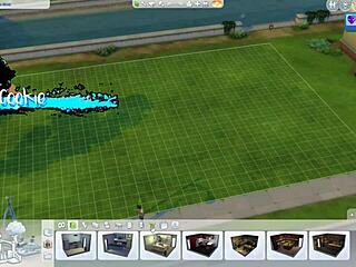 Playing around with neighbors in sims 4