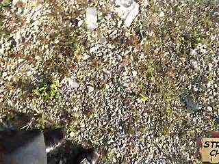 Teen Nadia Capri Loves Cock in Public Pickup Scene?