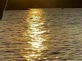 Flashing pussy on the beach