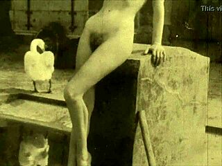 dark lantern entertainment vintage hairy pussy beaver tits presentation