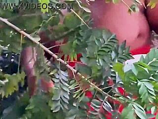 Is the evangelical neighbor picking fruits or something more in lingerie?