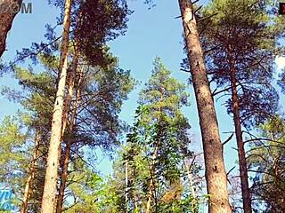 Amateur milf couple seeks cum panties spot