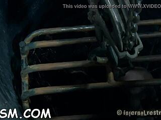 gagged bondman tied up, vibrator teasing in femdom bdsm session