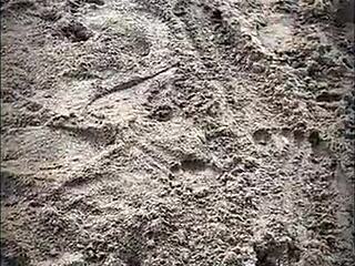 Stranger blows me on the beach! Public sex excitement!