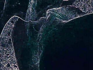 wanna watch me lick ass and suck cock in the night club?