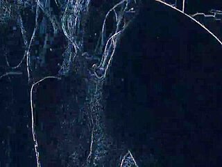 wanna watch me lick ass and suck cock in the night club?