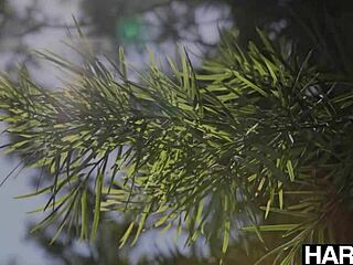 Lustful beauty sensually fucks hot bf