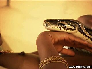 brunette lady dances and seduces her lover with teasing striptease