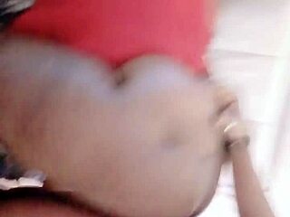 sundaydogood614 update 911 vid march 28 2025