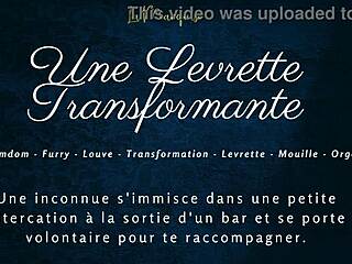 Transforming doggystyle in french furry audio porn