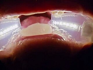 Deranged Filth Loving Girl Rebel Rhyder Gets Frozen Cum Bukkake - Filmed With Probe Lens