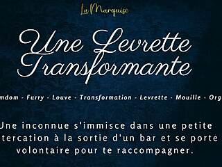 Transforming doggystyle in french furry audio porn