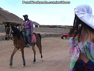 Couple gets steamy banging on billiard table