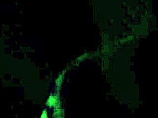 Rough sucking of huge cock in the dark during cheating deepthroat blowjob