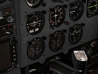 pof chick brandy coles shares her experience