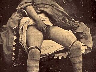 Ever tried a hairy beaver from a vintage harem tale?