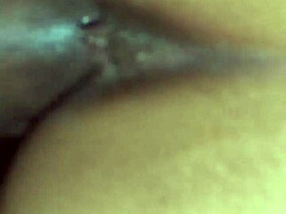 Wife in stockings does doggy style