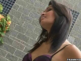 brazilian shemale babe strokes her hard cock solo