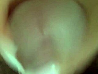 monika fox gives blowjob and handjob to small cock then lets him cum