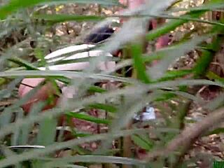 क्या फार्म पर मेरी मोटी काली चूत चोदोगे?