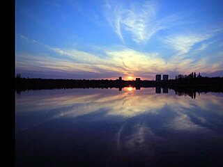 Roberta teases with intense foot odor in fetish play