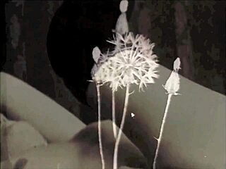 Emotional Journey Through Vintage Hairy Pussy Fucking And Blowjob Scenes