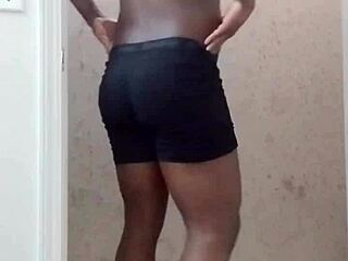 What A Mess In The Room With My Scorpio Pet Wolf!