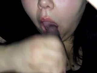 Video From February 3, 2017