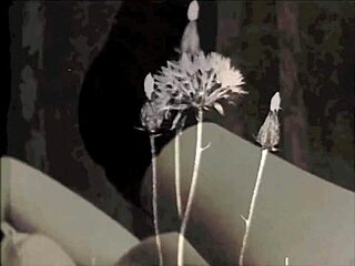 i remember pornostalgia in the swinging sixties with double fight