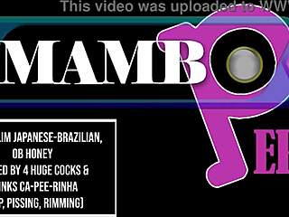 Slim Japanese-Brazilian slut fucked by four huge cocks in intense session