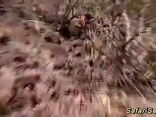 Rough African threesome interracial fuck