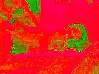 The anniversary dinner ended with a passionate sex