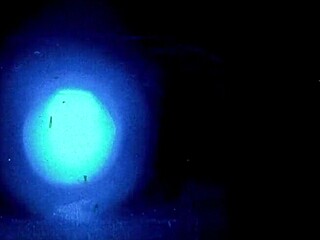 I saw this weird porn in 4K