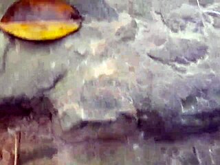 Pingo Na Bunda Part C With El Toro De Oro