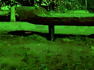 Chrissy fox pisses outdoors in public solo