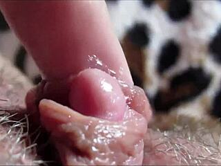 big clit closeup orgasm – intriguing intense pleasure